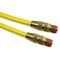 Coilhose Pneumatics FLEX HOSE YELLOW 3/16" X 20' 1/4" MPT AMPR316-20B-Y - alternate 2